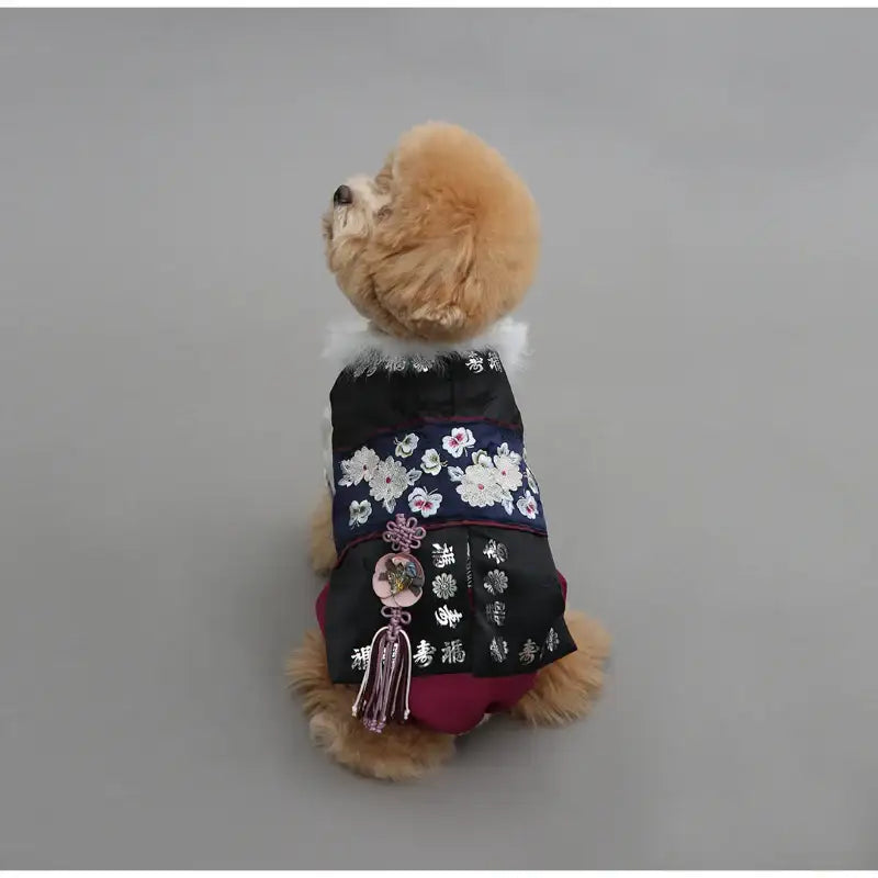 ITSDOG - Pet Hanbok - ITSDOG - Pet Clothes - Harumio