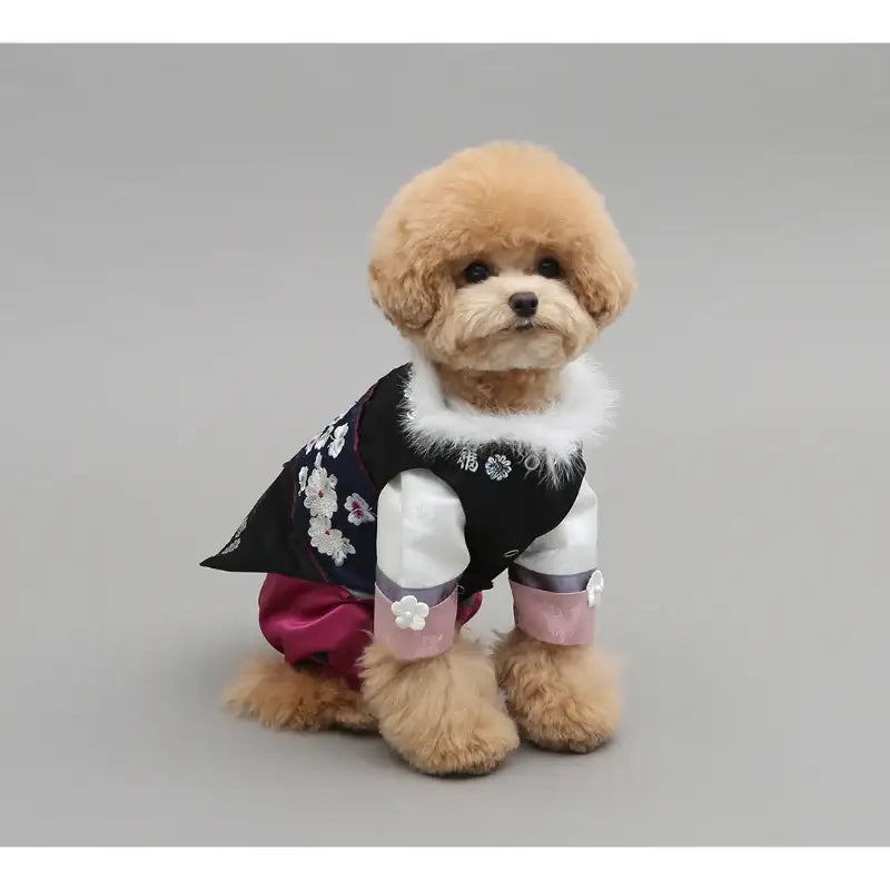 ITSDOG - Pet Hanbok - ITSDOG - Pet Clothes - Harumio