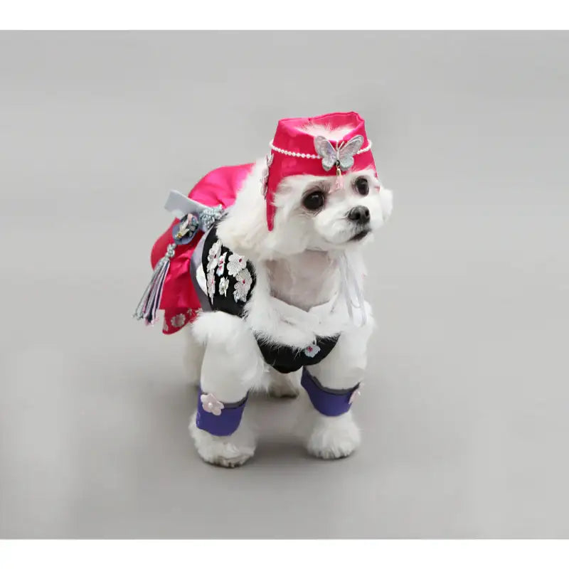 ITSDOG - Pet Hanbok - ITSDOG - Pet Clothes - Harumio