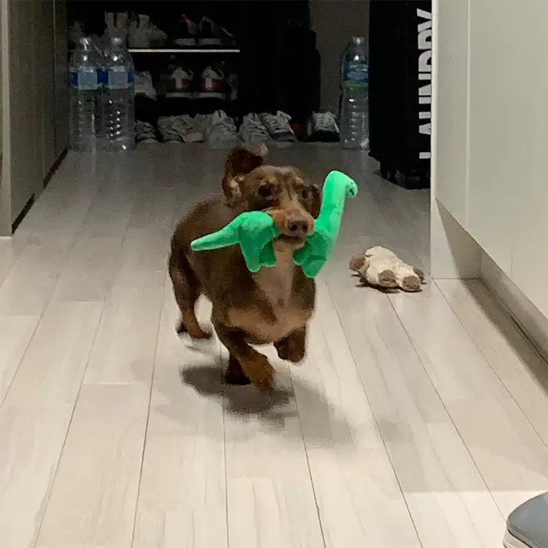 Joguman Studio - Brachiosaurus Dog Toy - Joguman Studio - Dog Toy - Harumio
