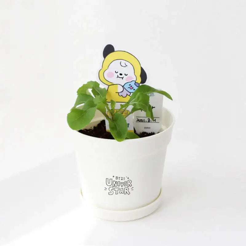 NARA HOME DECO X BT21 - Seed Stick Kit - NARA HOME DECO - Seed Stick Kit - Harumio