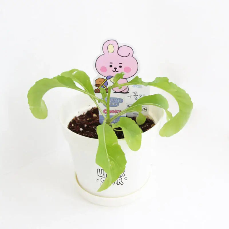 NARA HOME DECO X BT21 - Seed Stick Kit - NARA HOME DECO - Seed Stick Kit - Harumio