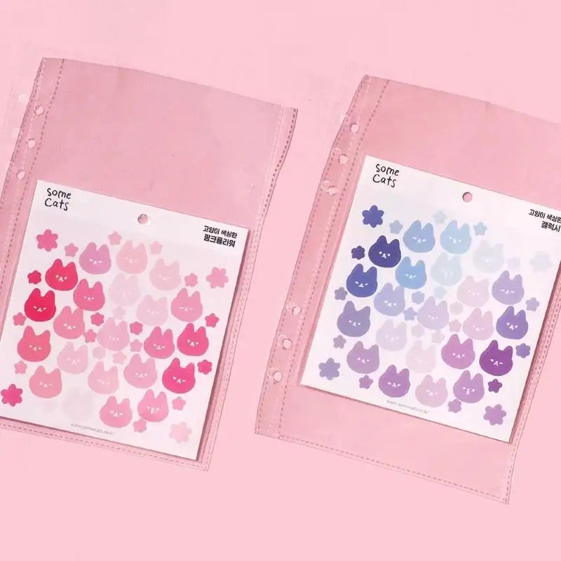 Be On D - After The Rain A5 Deco Pocket Double Sided - Be On D - Photocard - Harumio