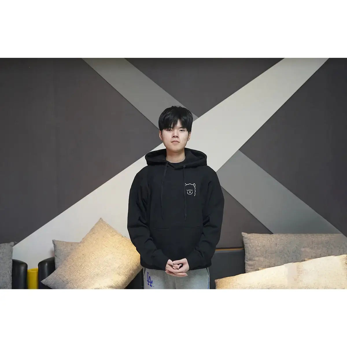 DRX Official Merch - Deft Hoodie - DRX - Clothing - Harumio