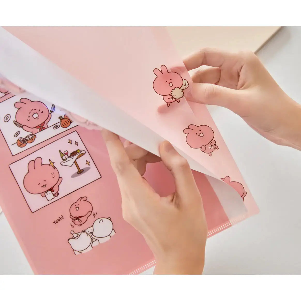 Kakao Friends - 5 Pockets Index File - Kakao Friends - Accessories - Harumio