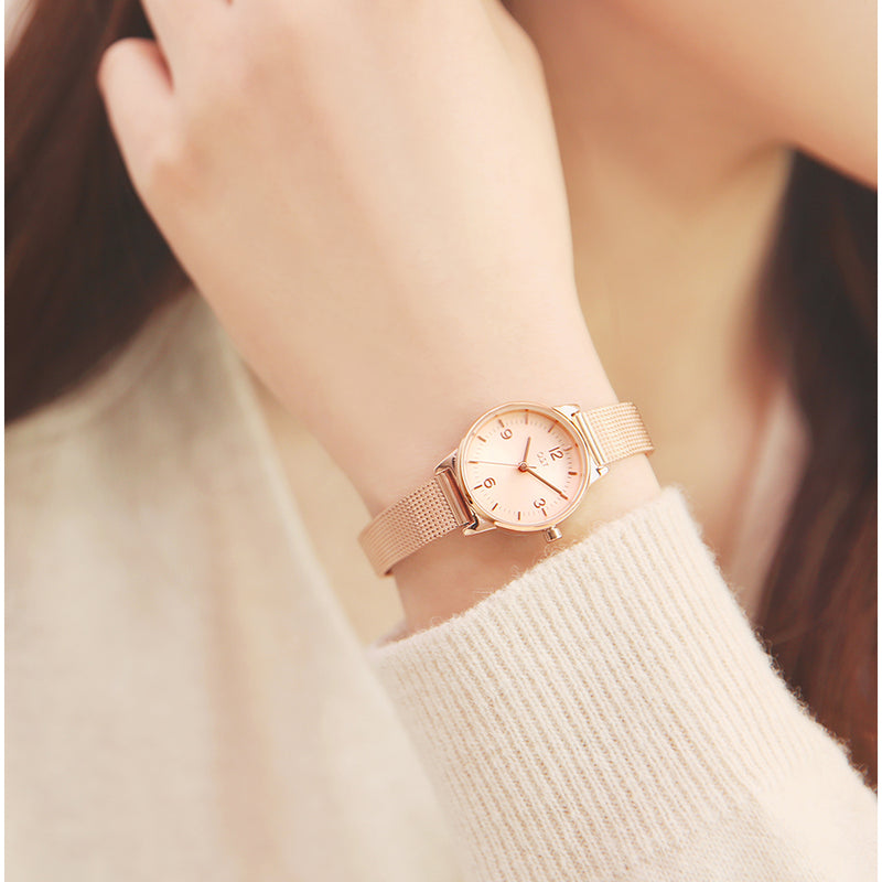 OST - Daily Rose Gold Mesh Watch