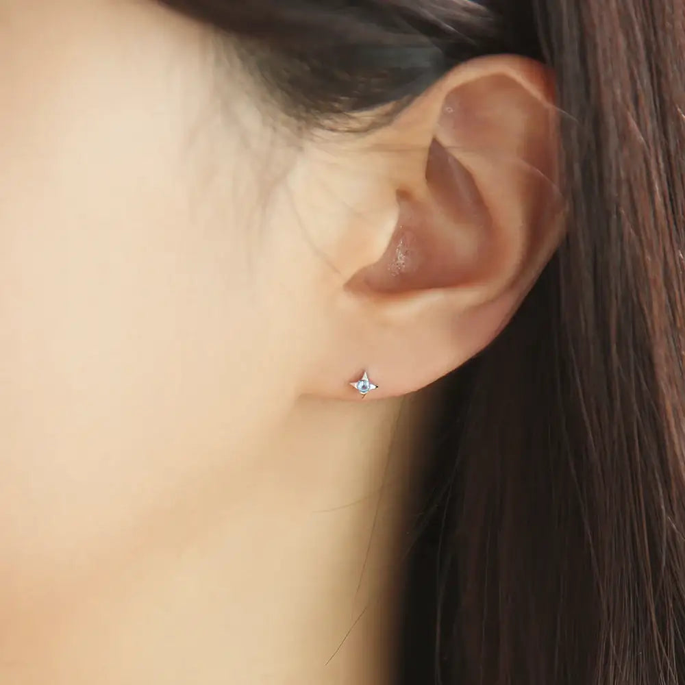 OST - Summer Blue Flower Silver Package Earrings - OST - Jewelry - Harumio