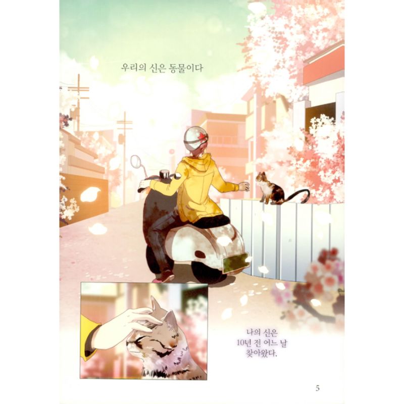 Flow Manhwa