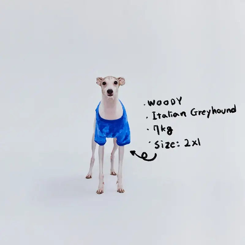 WAVY - Pet T-Shirt - WAVY - Pet Clothes - Harumio