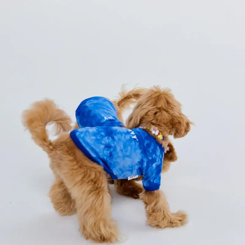 WAVY - Pet T-Shirt - WAVY - Pet Clothes - Harumio