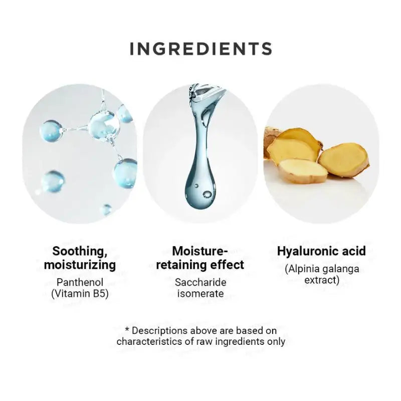 Olive Young - Wellage Real Hyaluronic Blue Ampoule Special Set - Olive Young - Serum - Harumio