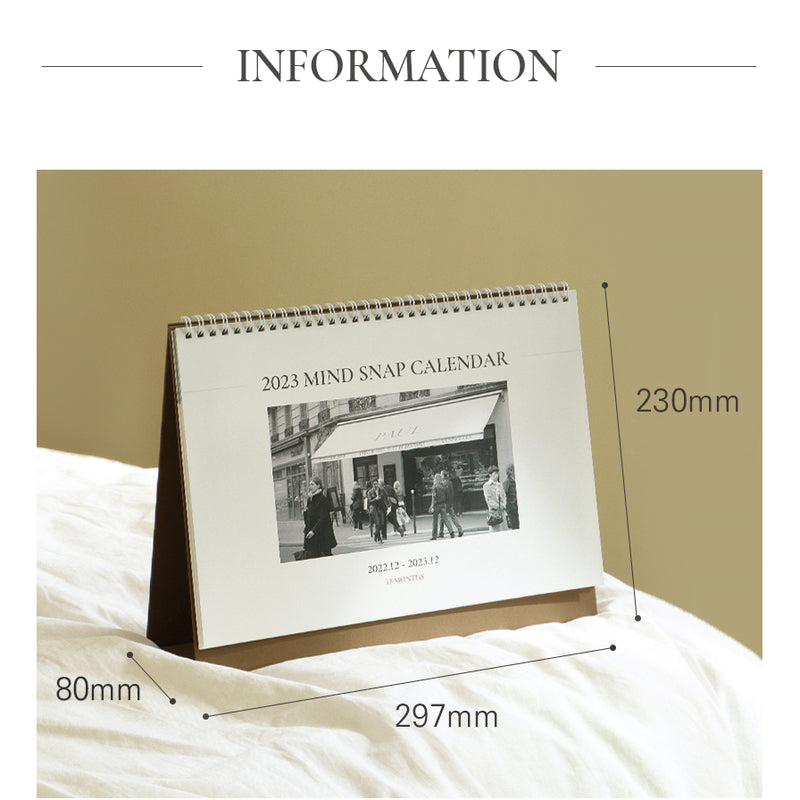 Indigo - 2023 Mind Snap A4 Desk Calendar