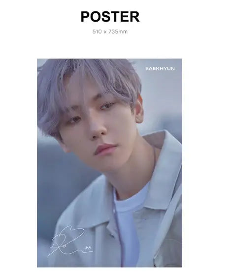Baekhyun Puzzle Package Limited Edition Pre-Sale - EXO - Games & Hobbies - Harumio