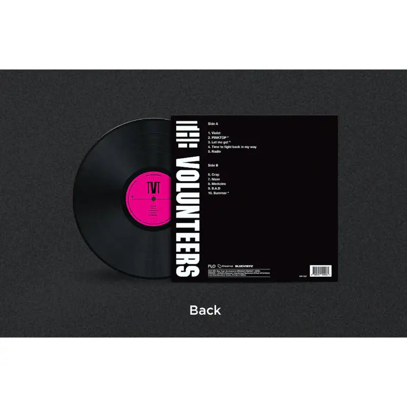 The Volunteers - 1st Album The Volunteers - LP - The Volunteers - Album - Harumio