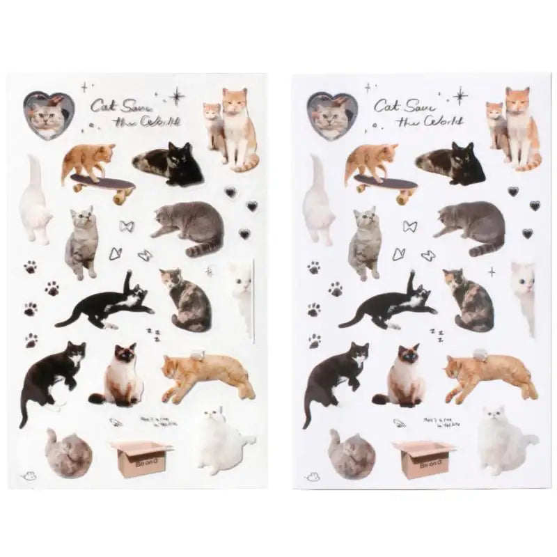 Be On D - Object Cat Sticker - Be On D - Stickers - Harumio