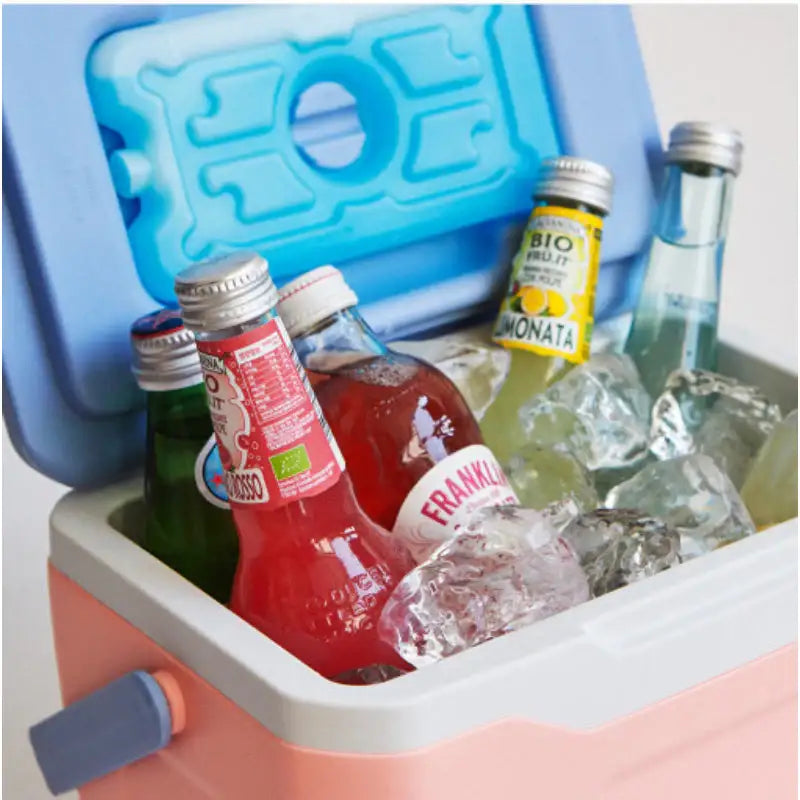 Bo Friends x Snoopy - Camping Ice Box - Bo Friends - Camping Tools - Harumio