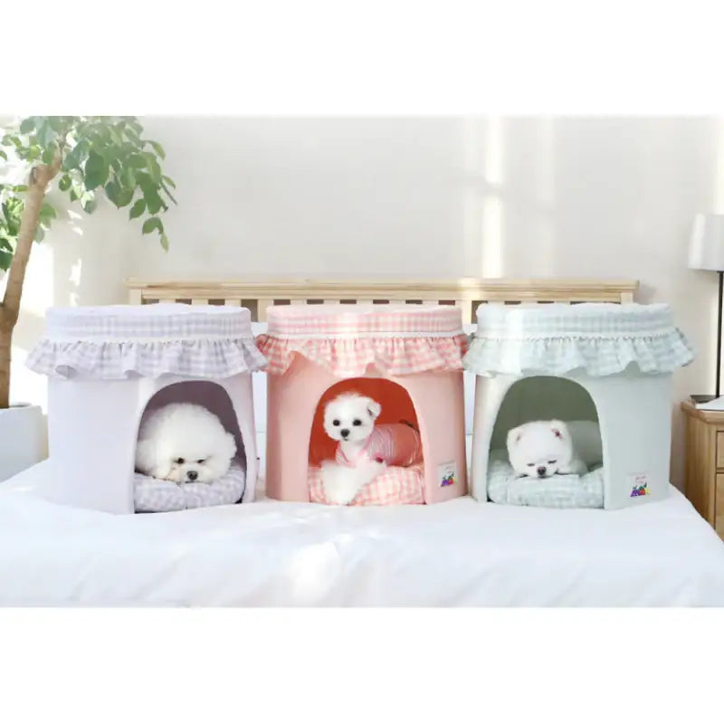 ITSDOG - Fruit Jam House - ITSDOG - Pet Accesories - Harumio