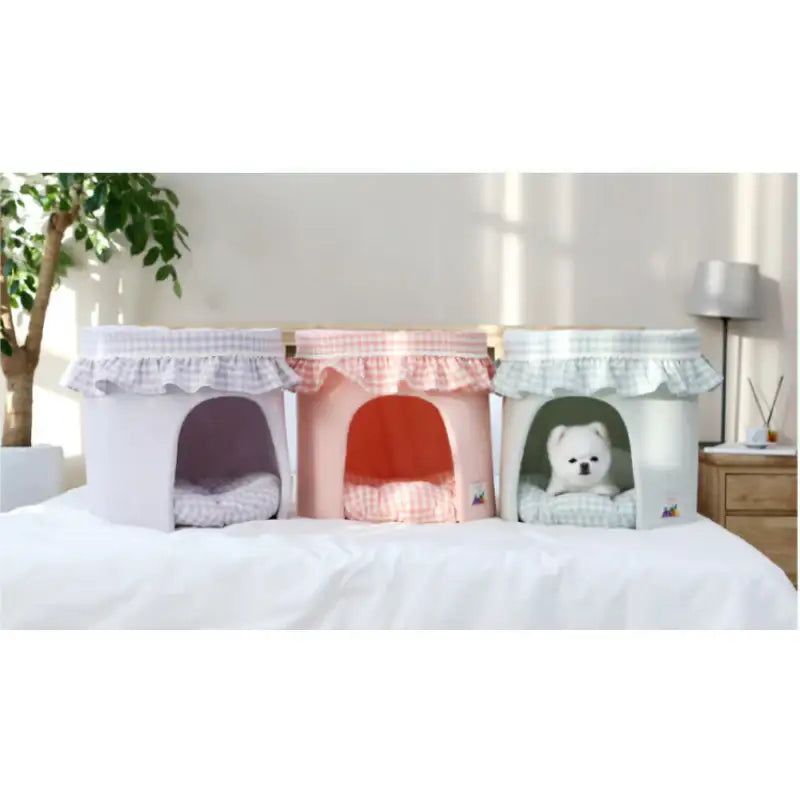 ITSDOG - Fruit Jam House - ITSDOG - Pet Accesories - Harumio