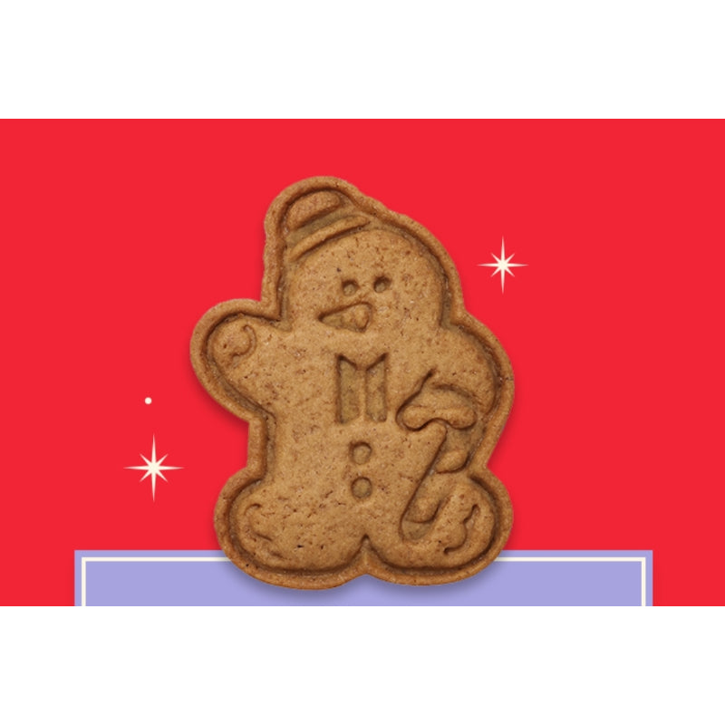 BTS - Little Wishes - Gingerbread Cookies