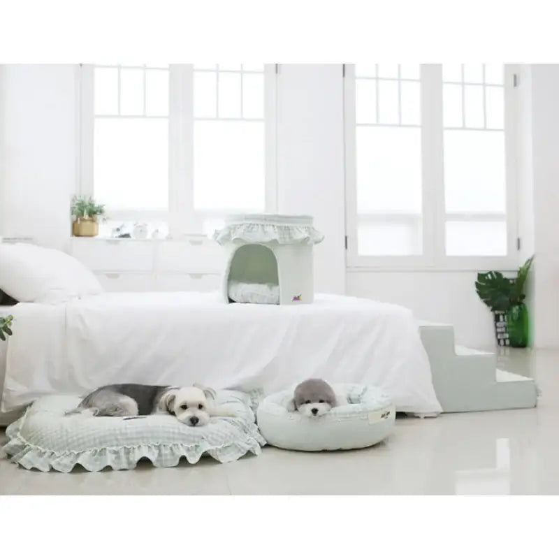ITSDOG - Fruit Jam House - ITSDOG - Pet Accesories - Harumio