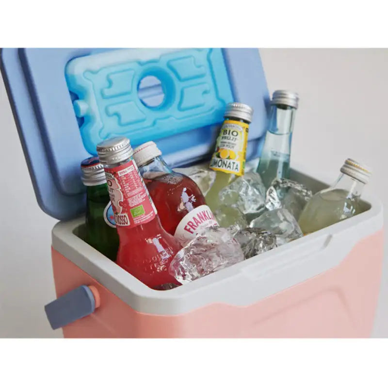 Bo Friends x Snoopy - Camping Ice Box - Bo Friends - Camping Tools - Harumio