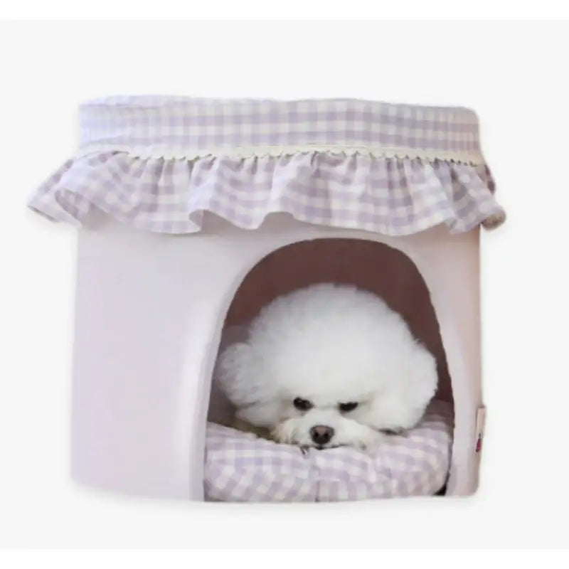 ITSDOG - Fruit Jam House - ITSDOG - Pet Accesories - Harumio