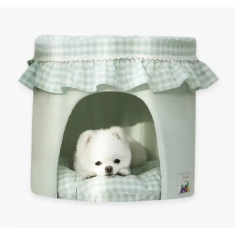 ITSDOG - Fruit Jam House - ITSDOG - Pet Accesories - Harumio