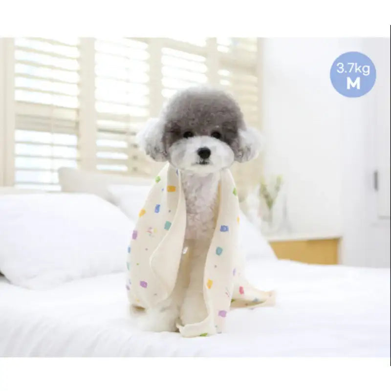 ITSDOG - Winter Dog Cat Organic Quilted Blanket -Jelly Bear Hooded Blanket - ITSDOG - Pet Accesories - Harumio