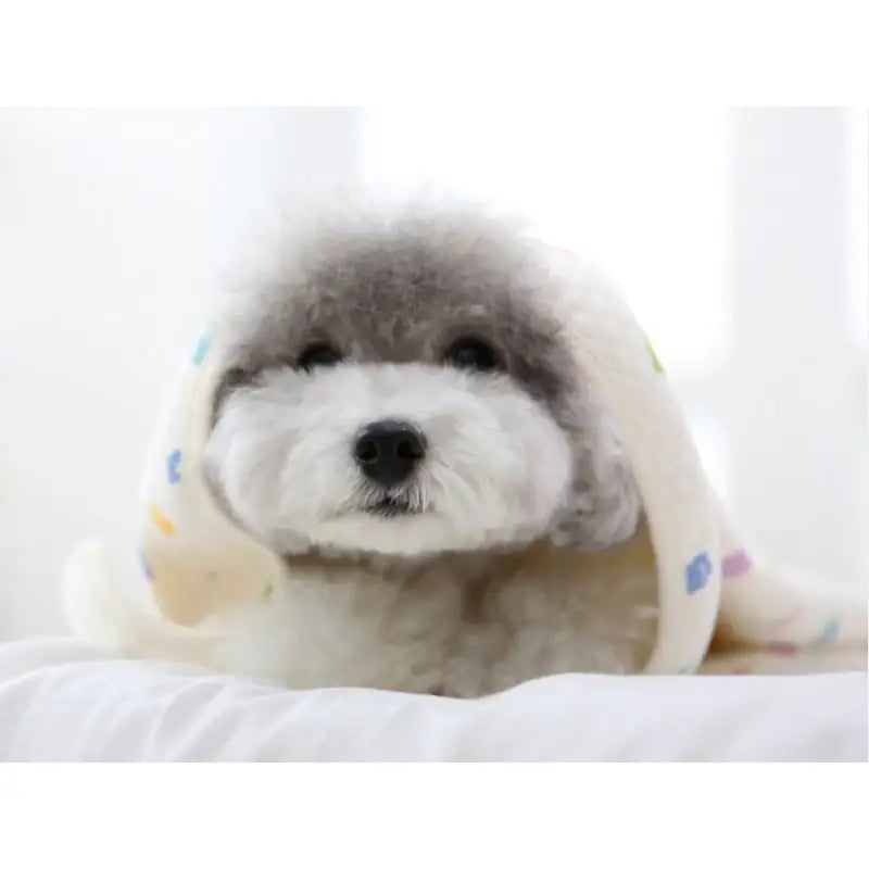 ITSDOG - Winter Dog Cat Organic Quilted Blanket -Jelly Bear Hooded Blanket - ITSDOG - Pet Accesories - Harumio