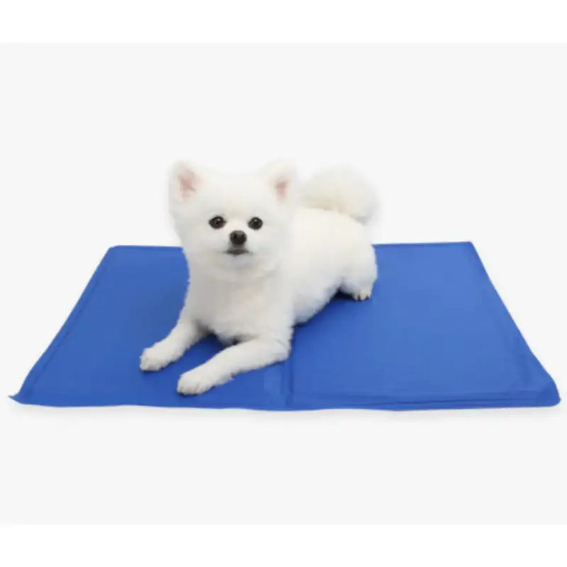 ITSDOG - Ice Cool Gel Matte - ITSDOG - Pet Accesories - Harumio