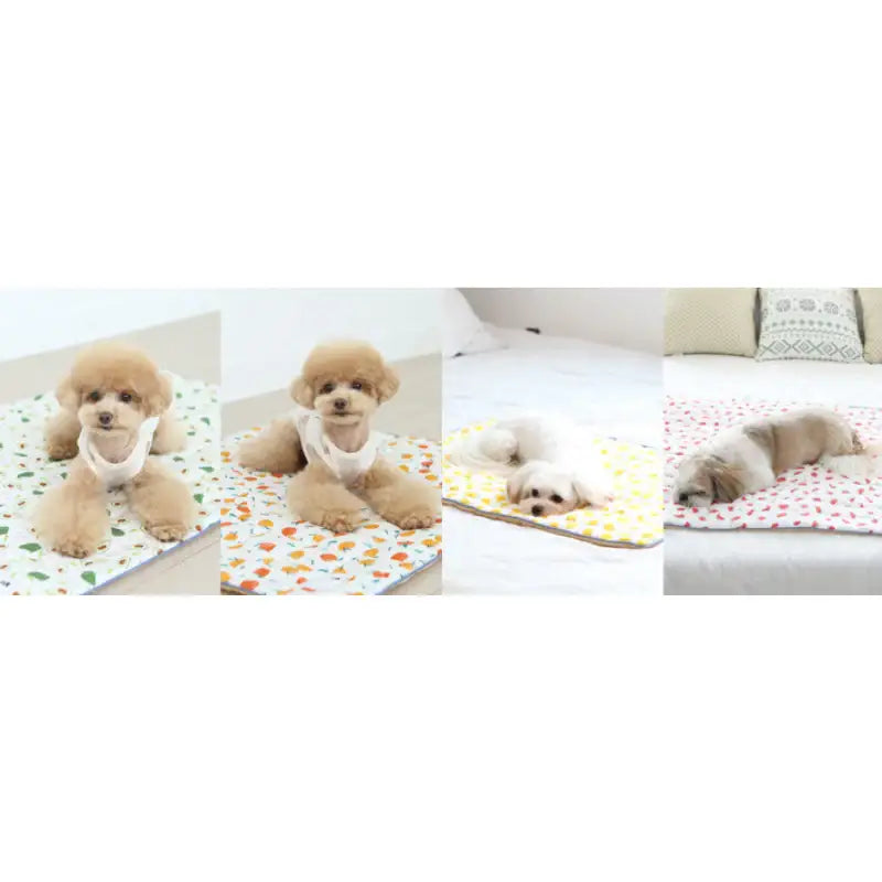 ITSDOG - Dog Cooling Mat - ITSDOG - Pet Accesories - Harumio
