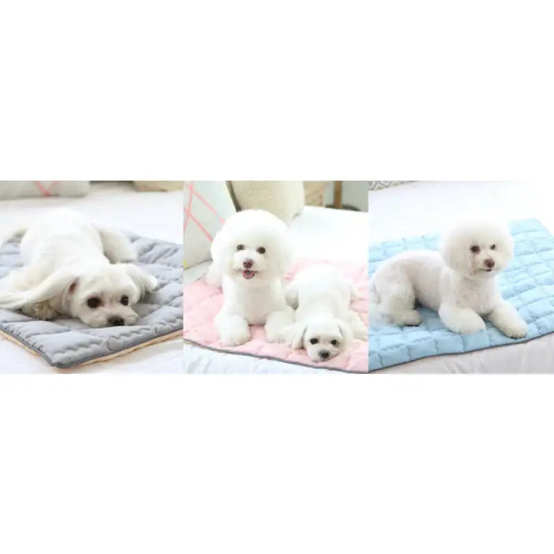 ITSDOG - Dog Cooling Mat - ITSDOG - Pet Accesories - Harumio