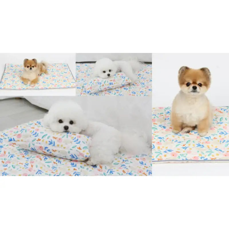 ITSDOG - Dog Cooling Mat - ITSDOG - Pet Accesories - Harumio