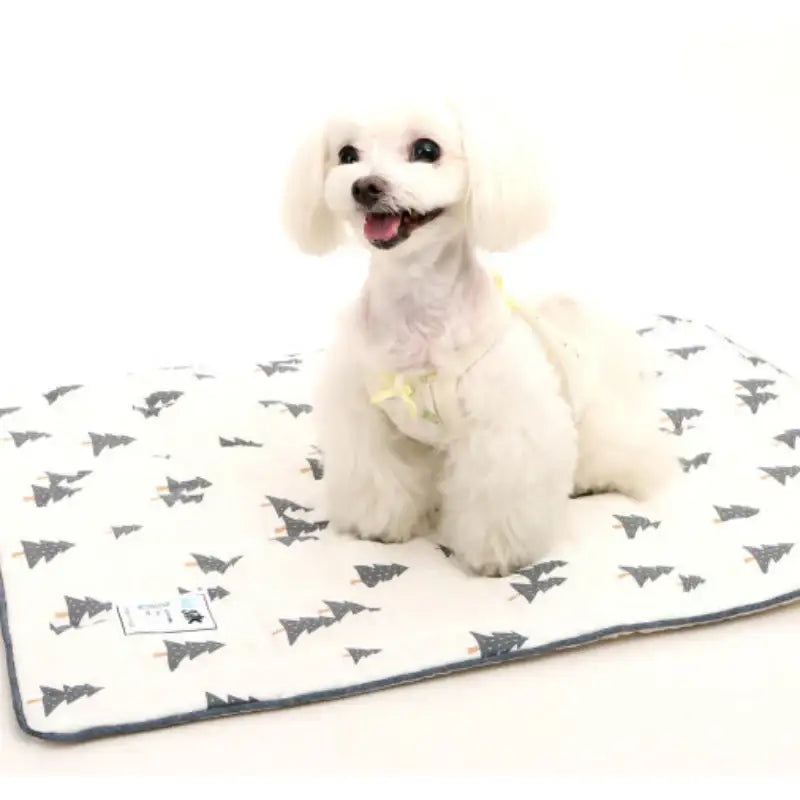 ITSDOG - Dog Cooling Mat - ITSDOG - Pet Accesories - Harumio