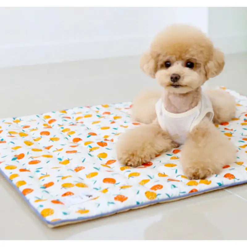 ITSDOG - Dog Cooling Mat - ITSDOG - Pet Accesories - Harumio