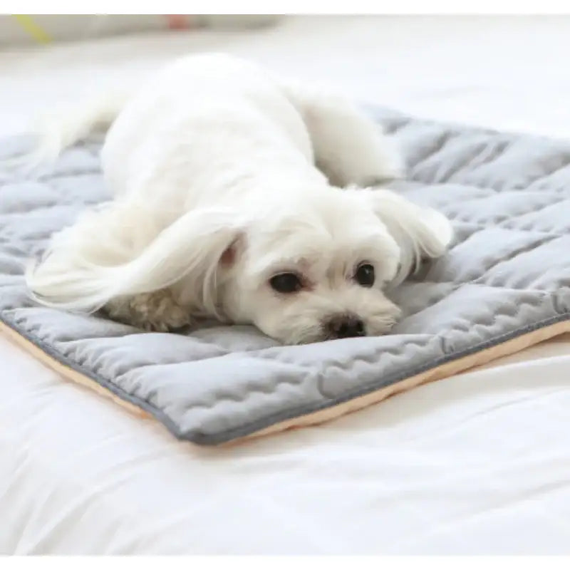 ITSDOG - Dog Cooling Mat - ITSDOG - Pet Accesories - Harumio