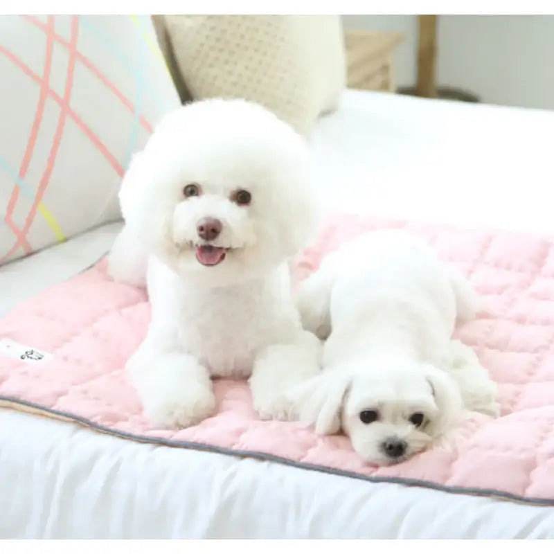 ITSDOG - Dog Cooling Mat - ITSDOG - Pet Accesories - Harumio