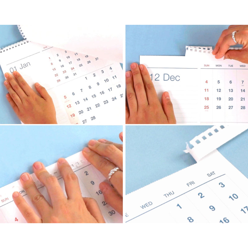 ICONIC - 2023 Flow 3-Month Wall Calendar