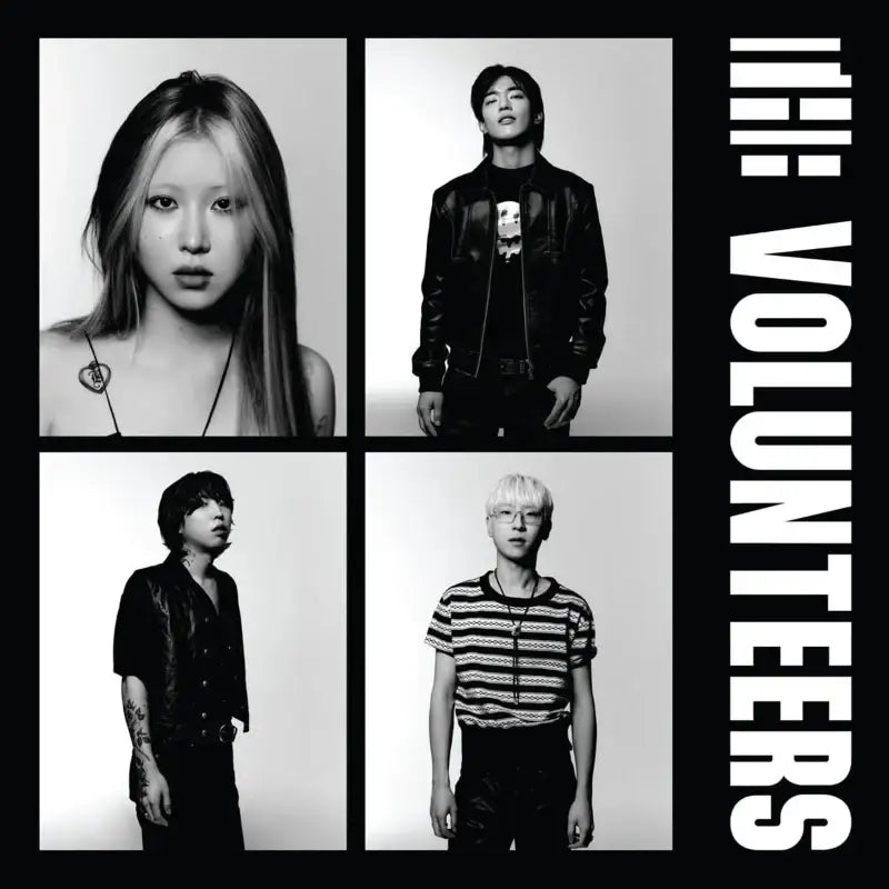 The Volunteers - 1st Album The Volunteers - LP - The Volunteers - Album - Harumio