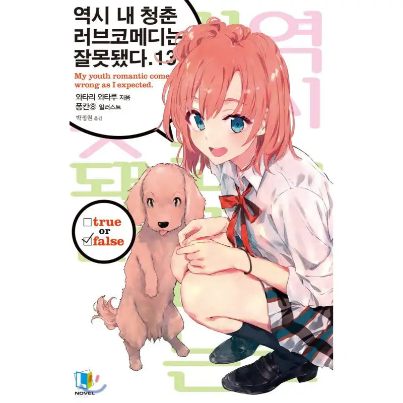 My Youth Romantic Comedy Is Wrong, As I Expected - Light Novel - D&C Media - Light Novel - Harumio