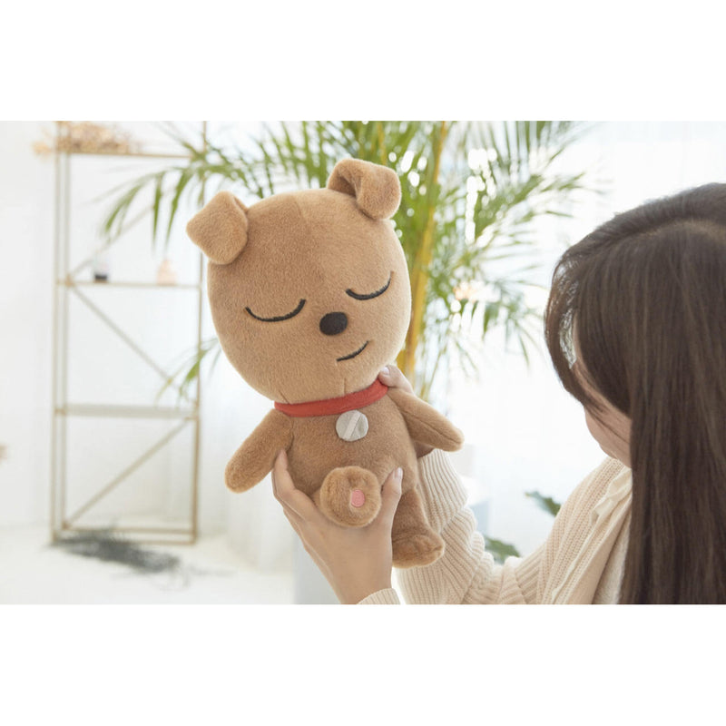 Kakao Friends - Signature Classic Plush Doll