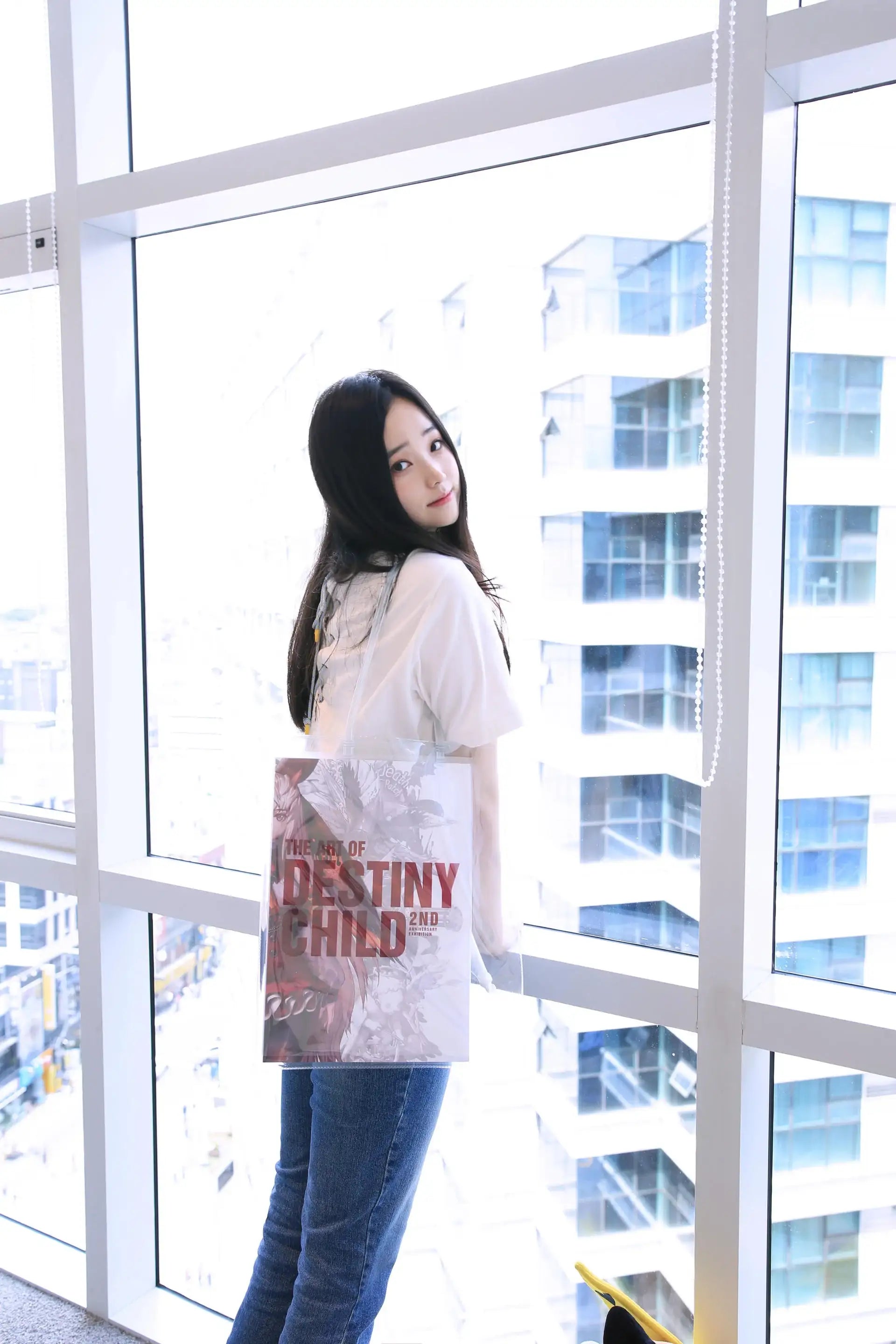 Destiny Child - Official Artbook - Destiny Child - Books - Harumio