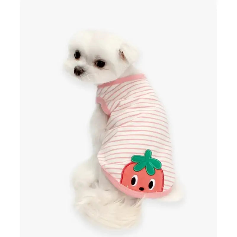 ITSDOG - Pet Jam Jam Peekaboo Sleeveless T-Shirt - ITSDOG - Pet Clothes - Harumio