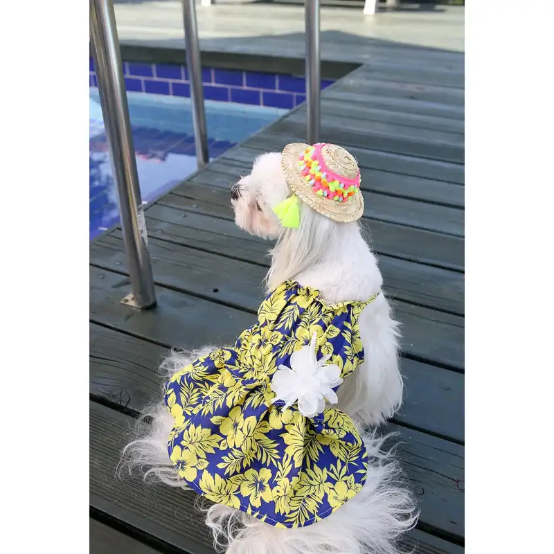ITSDOG - Pet Honeymoon Dress - ITSDOG - Pet Clothes - Harumio