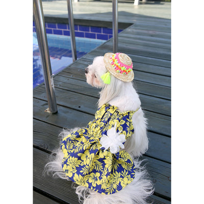 ITSDOG - Pet Honeymoon Dress