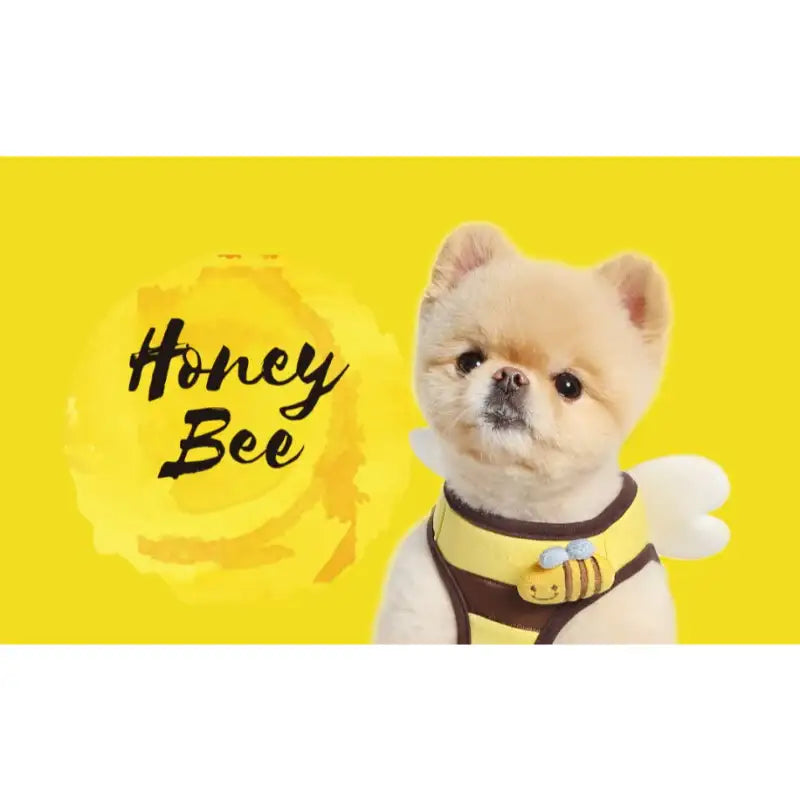 ITSDOG - Pet Harness - ITSDOG - Pet Accesories - Harumio
