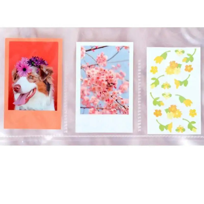 Be On D - After the Rain A4 Refill File Photo Card Storage - Be On D - Photocard - Harumio