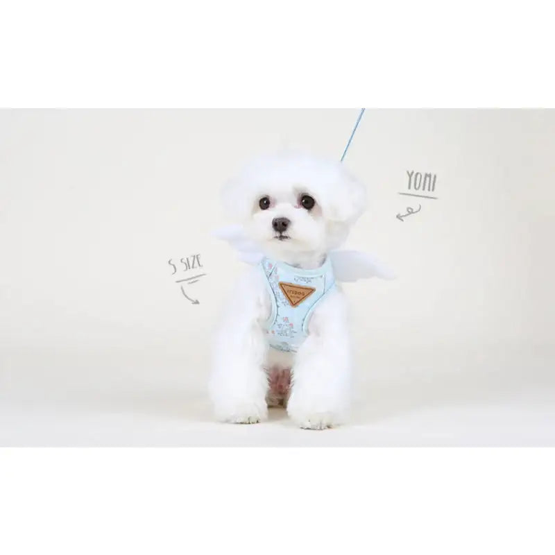 ITSDOG - Pet Harness - ITSDOG - Pet Accesories - Harumio