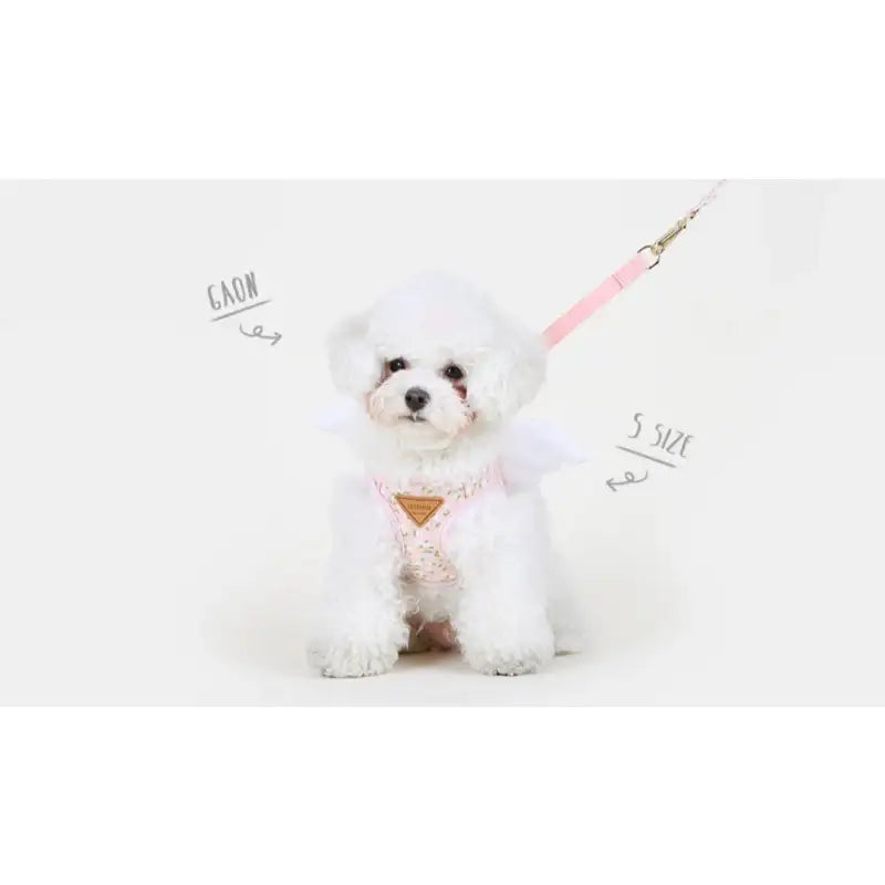 ITSDOG - Pet Harness - ITSDOG - Pet Accesories - Harumio