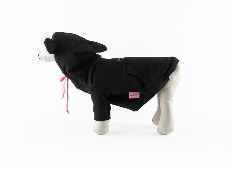 BlackPink - In Your Area Pet Hoodie